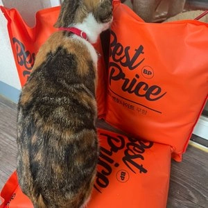 [18kg] 베스트 프라이스 벤토나이트 무향 6kg 베스트 후기 이미지