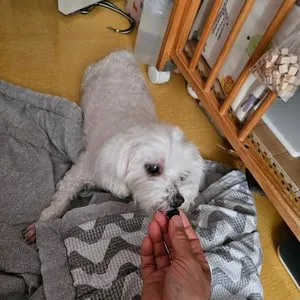 베스트 후기 이미지