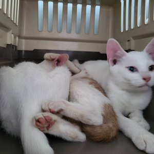 베스트 후기 이미지