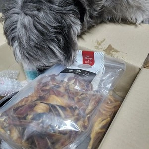 THE 건강한 형제 독 수제간식 돼지귀 400g 베스트 후기 이미지