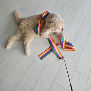 베스트 후기 이미지