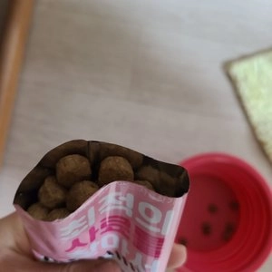 [체험단][사료샘플][10개] 트라이엄프 독 와일드 스피릿 치킨&현미 40g 베스트 후기 이미지