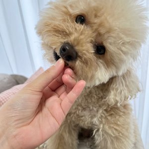 베스트 후기 이미지