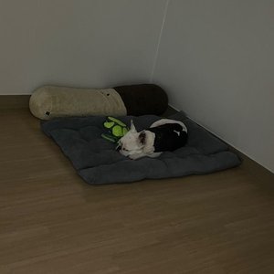 베스트 후기 이미지