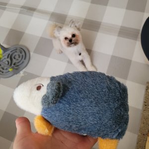 베스트 후기 이미지