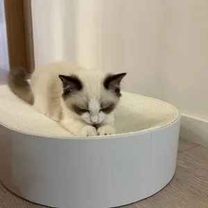 베스트 후기 이미지