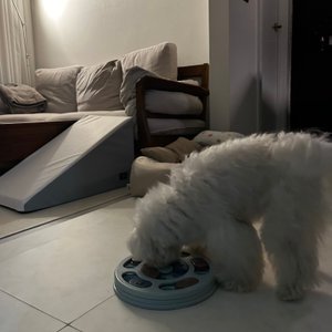 베스트 후기 이미지
