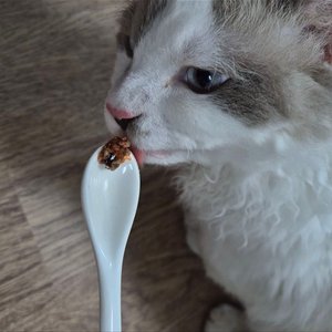 베스트 후기 이미지
