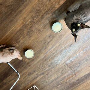 베스트 후기 이미지