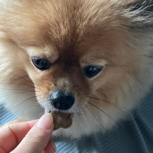 베스트 후기 이미지