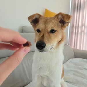 베스트 후기 이미지