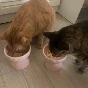 베스트 후기 이미지