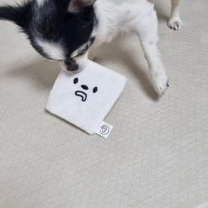 [무료배송] 펫베오 바스락 냅킨 노즈워크 베스트 후기 이미지