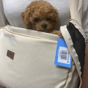 베스트 후기 이미지