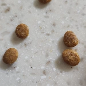 [무료배송] 로얄캐닌 독 유리너리 S/O 스몰독 1.5kg  베스트 후기 이미지