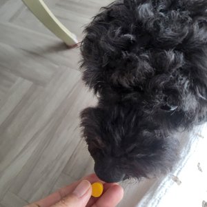 베스트 후기 이미지