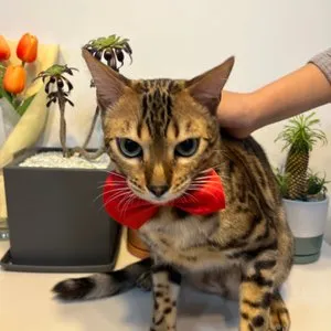 베스트 후기 이미지