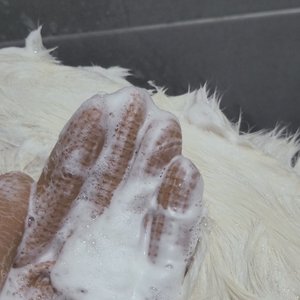 베스트 후기 이미지