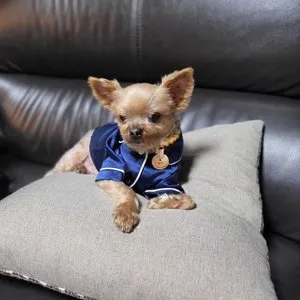 베스트 후기 이미지