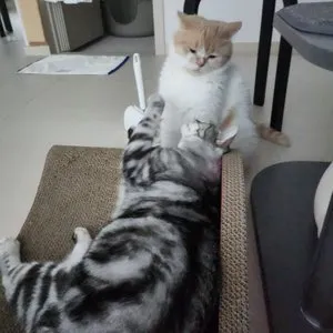 베스트 후기 이미지