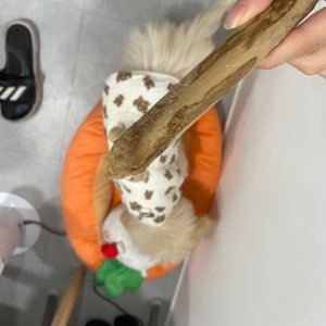 베스트 후기 이미지