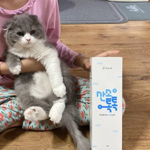 베스트 후기 이미지