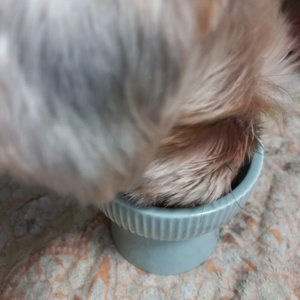 베스트 후기 이미지