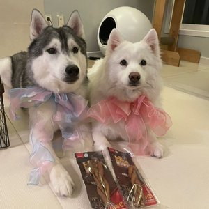 베스트 후기 이미지