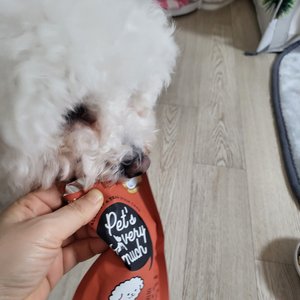 베스트 후기 이미지