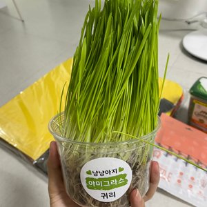 베스트 후기 이미지