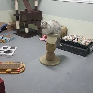 베스트 후기 이미지