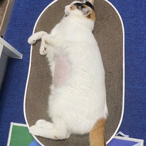 베스트 후기 이미지