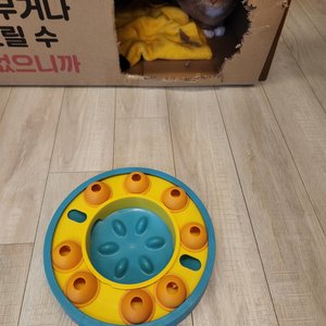 베스트 후기 이미지