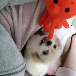 베스트 후기 이미지