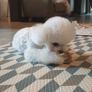 베스트 후기 이미지
