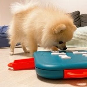 베스트 후기 이미지