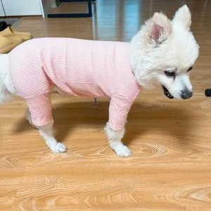 베스트 후기 이미지