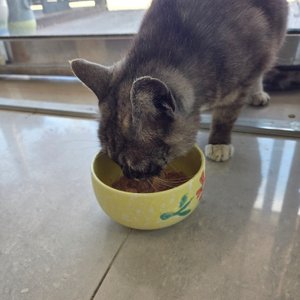 베스트 후기 이미지