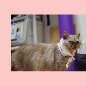 베스트 후기 이미지