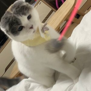 베스트 후기 이미지