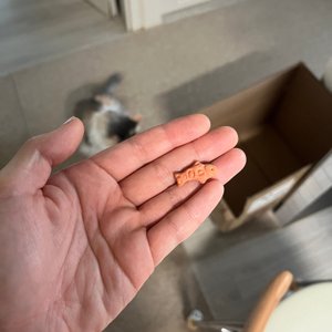 베스트 후기 이미지