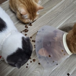 베스트 후기 이미지