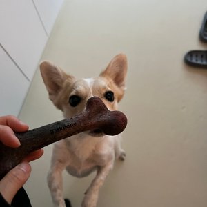 베스트 후기 이미지