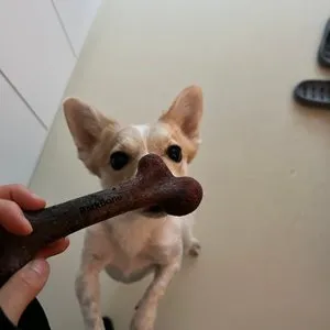 베스트 후기 이미지