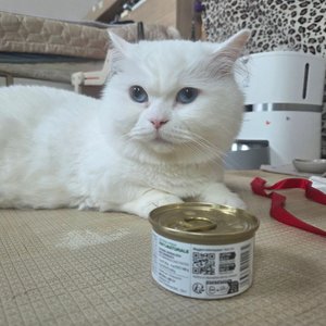 베스트 후기 이미지