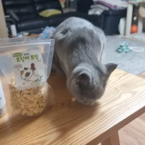 베스트 후기 이미지