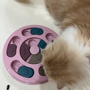 베스트 후기 이미지