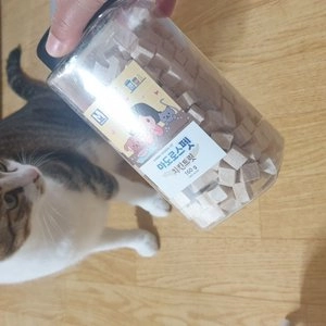 마도로스펫 치킨트릿 160g 베스트 후기 이미지