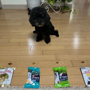 베스트 후기 이미지