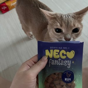 베스트 후기 이미지